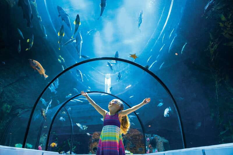 Quebec: Aquarium du Quebec Entry Ticket - The Awesome Ocean Tunnel and Indoor Exhibits