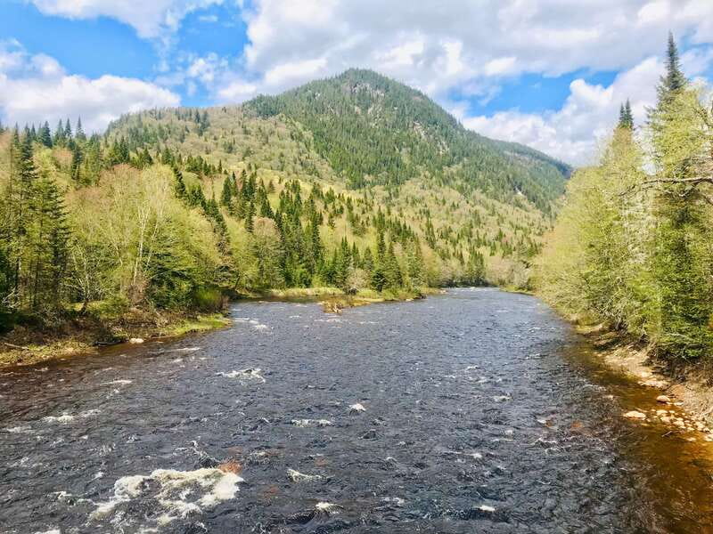 Quebec City: Guided Hike in Jacques-Cartier National Park - The return to Quebec City