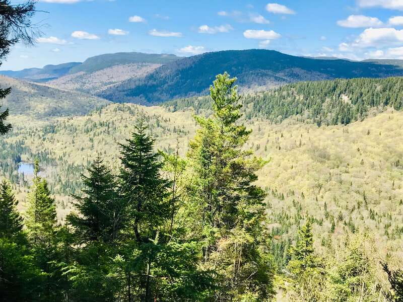 Quebec City: Guided Hike in Jacques-Cartier National Park - How difficult is the hike?