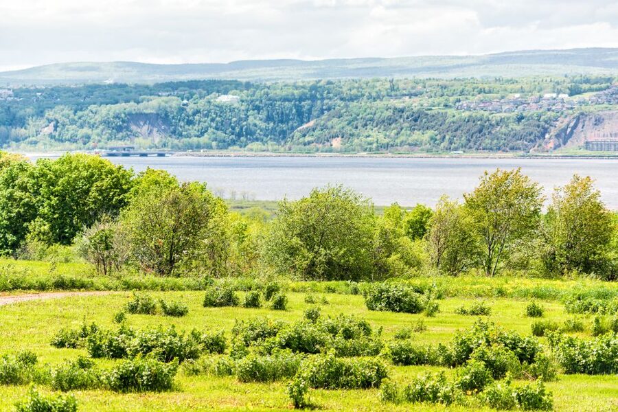 Québec City: Guided Sightseeing River Cruise - The bilingual guide is a major part of the experience