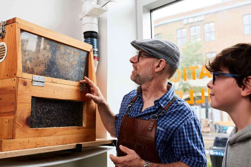 Quebec City: Honey and Distillery Tour with Tasting - Key points at a glance