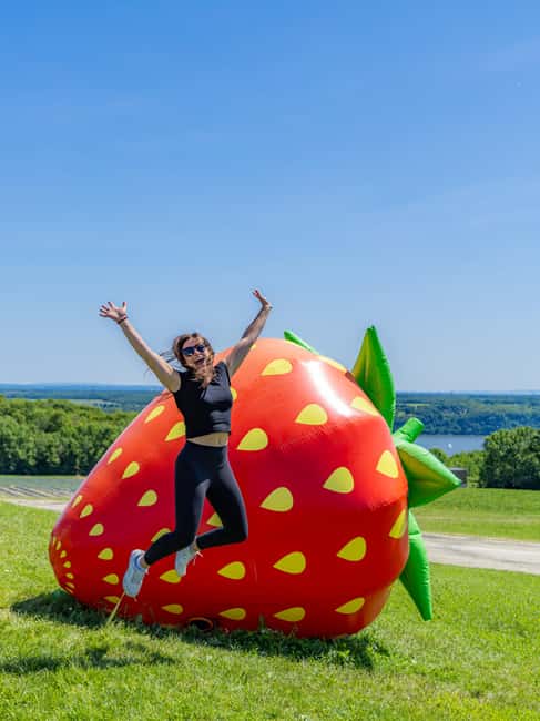 Quebec City: Ile d'Orléans Guided E-Bike Tour with Tastings - Why Île d’Orléans makes such a good half-day trip