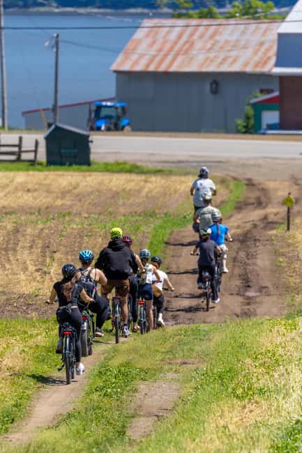 Quebec City: Ile d'Orléans Guided E-Bike Tour with Tastings - Maple, berries, and farm stops