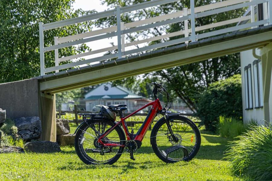 Quebec City: Ile d'Orléans Guided E-Bike Tour with Tastings - The final tasting and time to buy local products