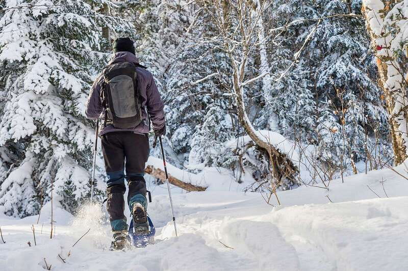 Quebec City: Jacques-Cartier National Park Snowshoeing Tour - What makes this snowshoe day worth considering