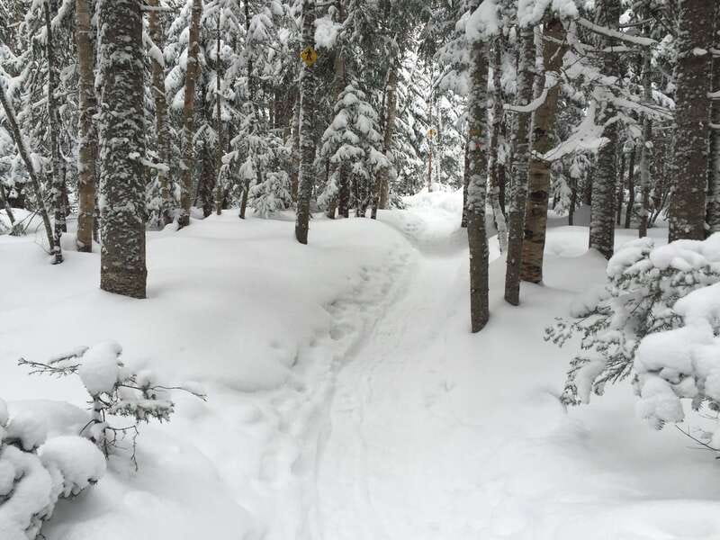 Quebec City: Jacques-Cartier National Park Snowshoeing Tour - The practical verdict