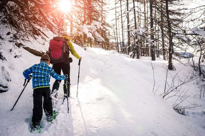 Quebec City: Jacques-Cartier National Park Snowshoeing Tour - From Quebec City to the Laurentians