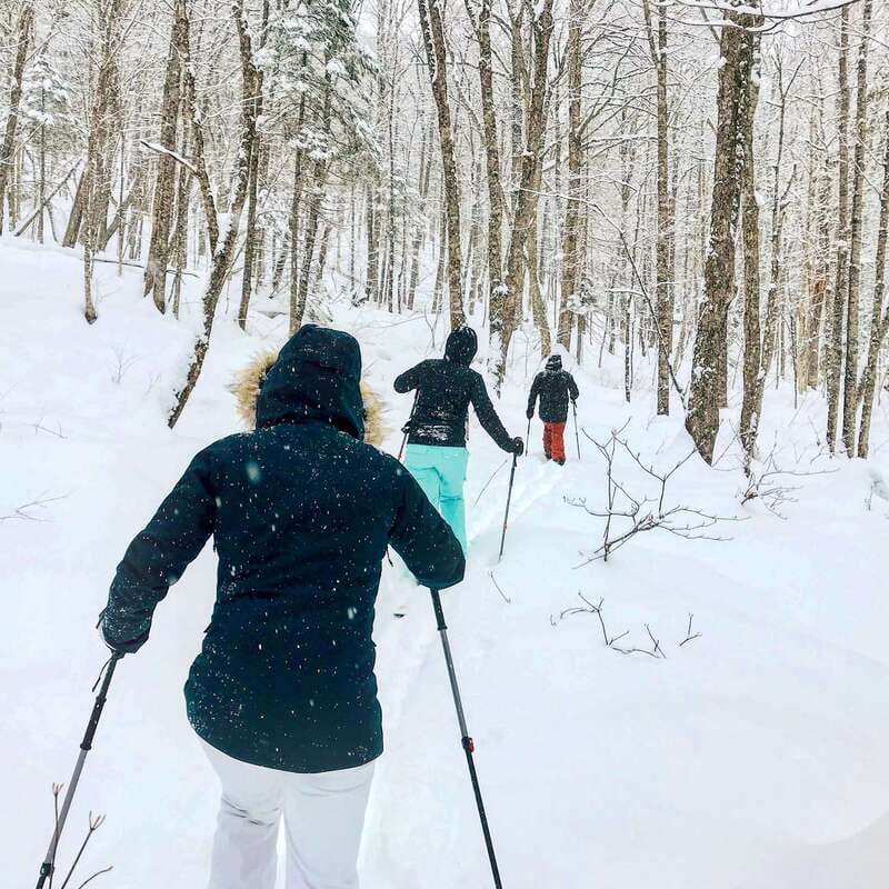 Quebec City: Jacques-Cartier National Park Snowshoeing Tour - Snacks, hot chocolate, and a warm lunch