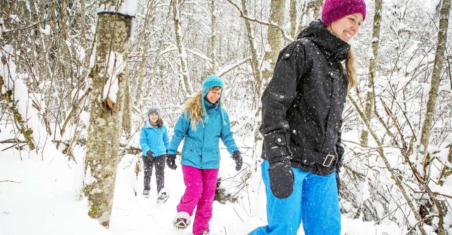 Quebec City: Jacques-Cartier National Park Snowshoeing Tour - Free time in the park after the walk