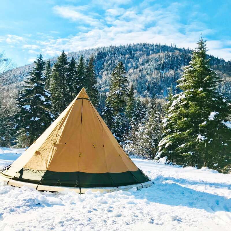 Quebec City: Jacques-Cartier National Park Snowshoeing Tour - What the $108 price really covers