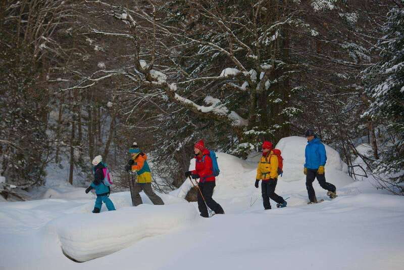 Quebec City: Jacques-Cartier National Park Snowshoeing Tour - Who should book this outing?