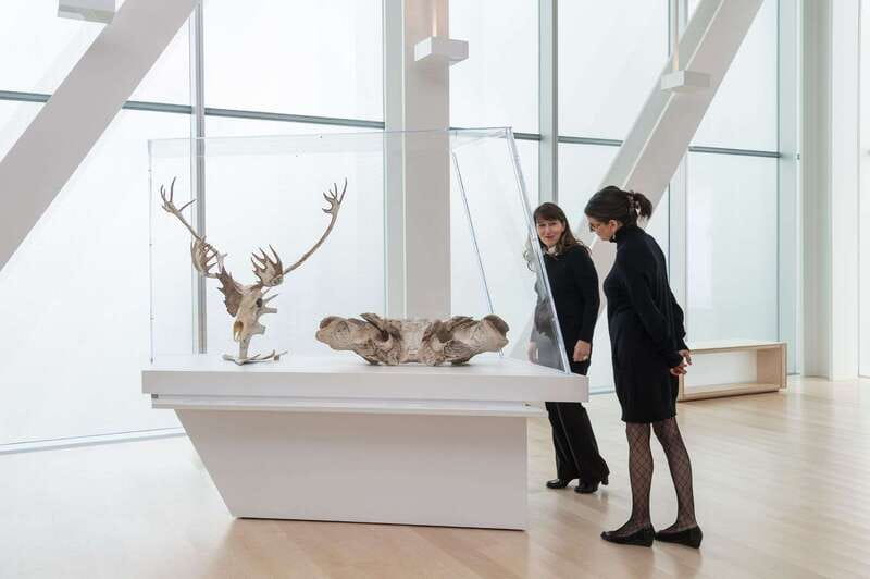 Quebec City: MNBAQ National Fine Arts Museum Entry Ticket - Why MNBAQ is worth your time
