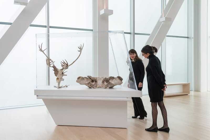 Quebec City: MNBAQ National Fine Arts Museum Entry Ticket - Who will get the most from this ticket?