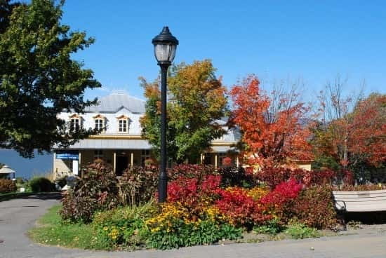 Quebec: City Tour, Montmorency Falls & Île d'Orléans Tour - Key points to know before booking