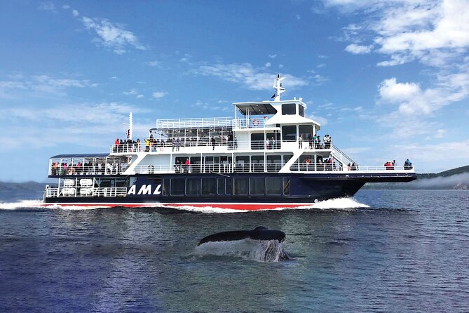 Québec City: Whale Watching Tour with Bus Transportation - Naturalist commentary and bilingual guiding
