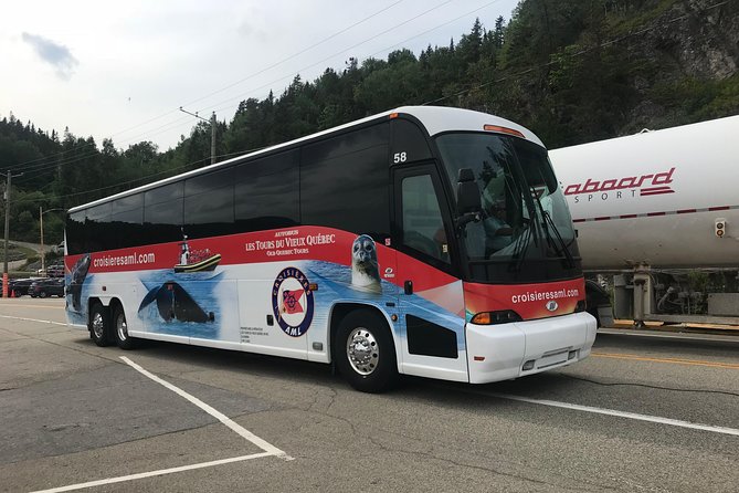 Québec City: Whale Watching Tour with Bus Transportation - Weather, clothing, and the practical details that matter