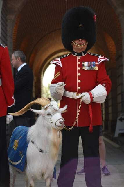 Quebec: La Citadelle de Québec Ticket and Guided Tour - Who Will Enjoy This Visit Most
