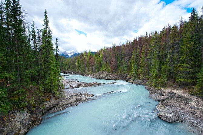 Rafting Adventure on the Kicking Horse River - Key points to know before you book