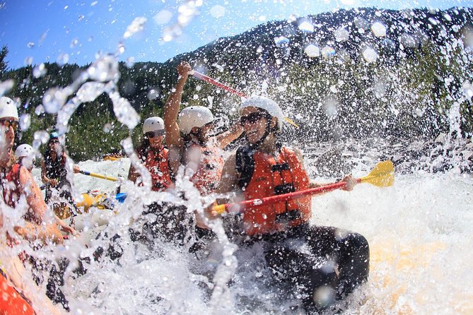 Rafting Adventure on the Kicking Horse River - Choosing between the available trips