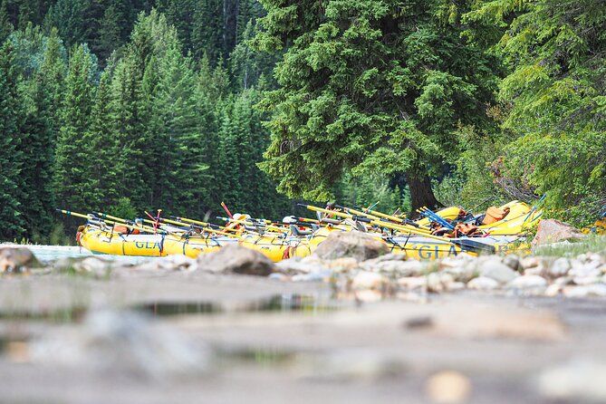 Rafting Adventure on the Kicking Horse River - Timing, weather, and cancellation details