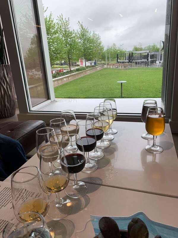 Relaxing Lunch & Wine Tour through Niagara's Wine Country - Key points to know before booking