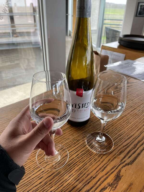 Relaxing Lunch & Wine Tour through Niagara's Wine Country - Why this Niagara wine tour works so well