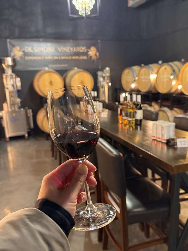 Relaxing Lunch & Wine Tour through Niagara's Wine Country - The first 45-minute winery tasting