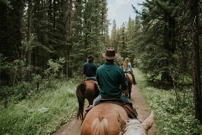 Ridge Ride 2-Hour Horseback Trail Ride in Kananaskis - What the walking pace means for you