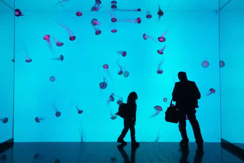 Ripley's Aquarium: Sharks After Dark Entry (After 5PM) - The shark tunnel and moving walkway
