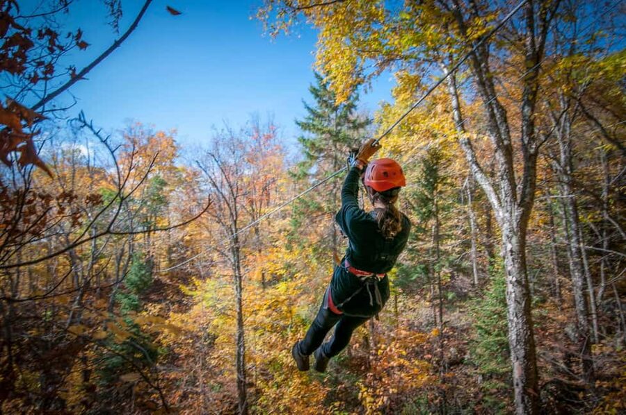 River Ziplines - Nature Tours - What the two-hour zipline outing feels like