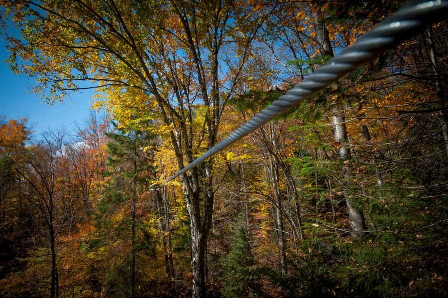 River Ziplines - Nature Tours - Who should book, and who should skip it