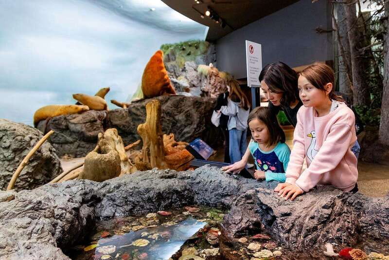 Royal B.C. Museum in Victoria: Full-Day Admission Ticket - Start at the Inner Harbour on Belleville Street