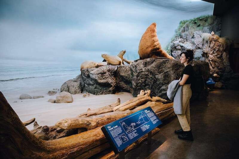 Royal B.C. Museum in Victoria: Full-Day Admission Ticket - Our Living Languages tells a difficult provincial story