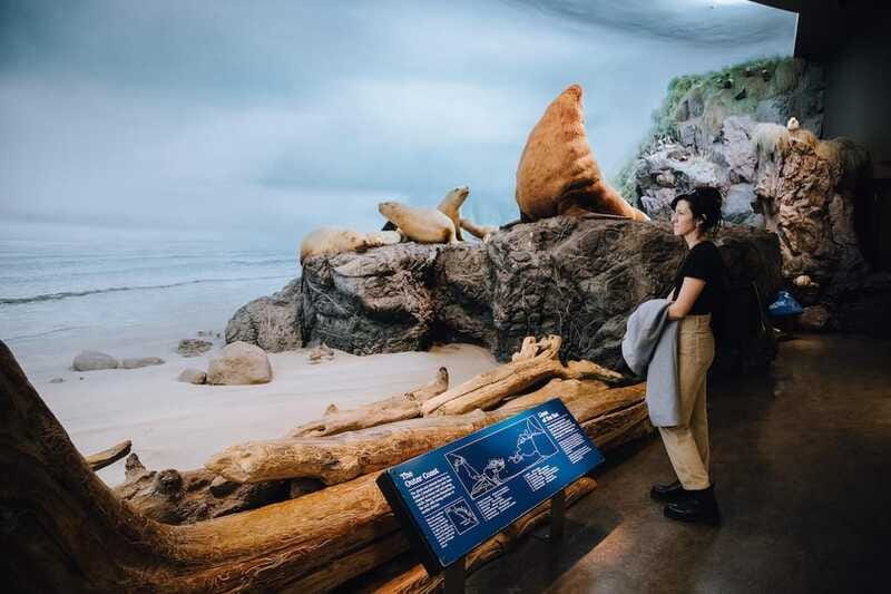 Royal B.C. Museum in Victoria: Full-Day Admission Ticket - Global Threads adds color and international context
