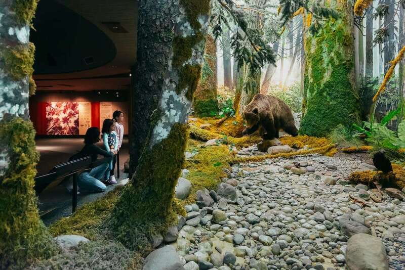 Royal B.C. Museum in Victoria: Full-Day Admission Ticket - Beyond the Beat links music with resistance
