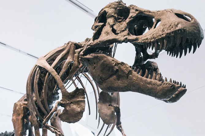 Royal Ontario Museum Admission - Entering with a mobile ticket