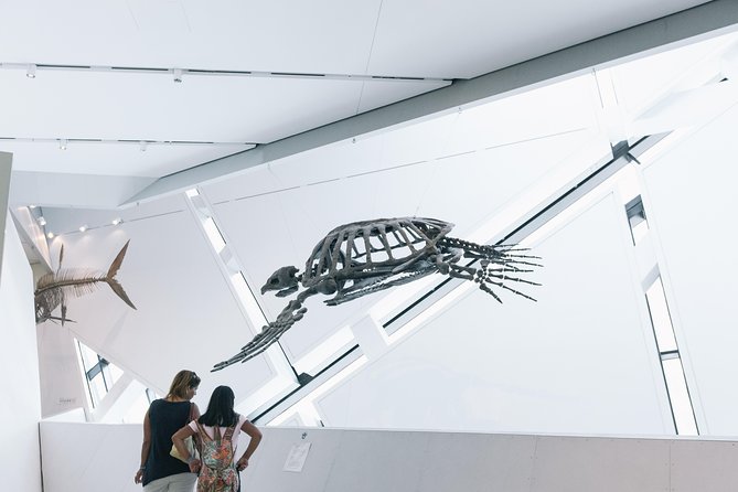 Royal Ontario Museum Admission - Dinosaurs and Gordo the Barosaurus