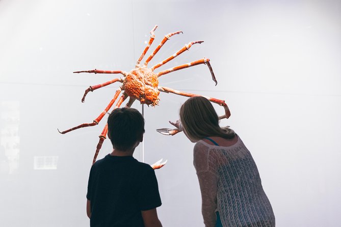 Royal Ontario Museum Admission - The Earth experience and natural history displays