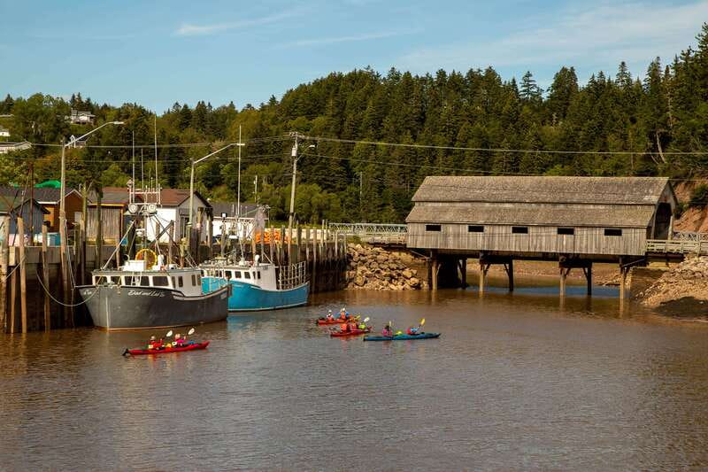 Saint John: Guided Kayaking Tour of St. Martins Sea Caves - Starting at Bay of Fundy Adventures