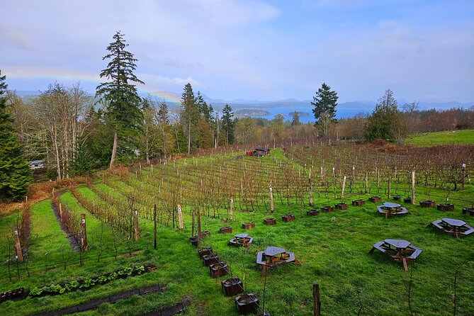Salt Spring Island "Artisan Trail" Hop On Hop Off Tour! - Garry Oaks Estate Winery and Burgoyne Valley views