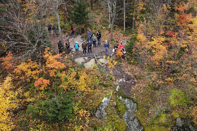 Scenic Hiking Adventure at Mont-Orford National Park - A 7 a.m. pickup keeps the day moving