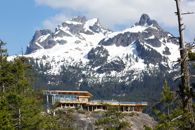 Sea to Sky Gondola Ticket - Why the Sea to Sky Gondola is worth your time