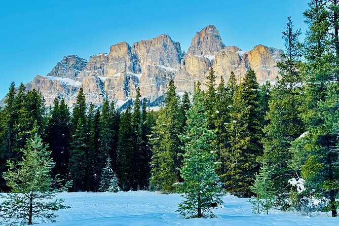 ShuttleBus 2way Banff to Lake Louise (1Hr) and Moraine Lake (1Hr) - Who Should Book This Experience?