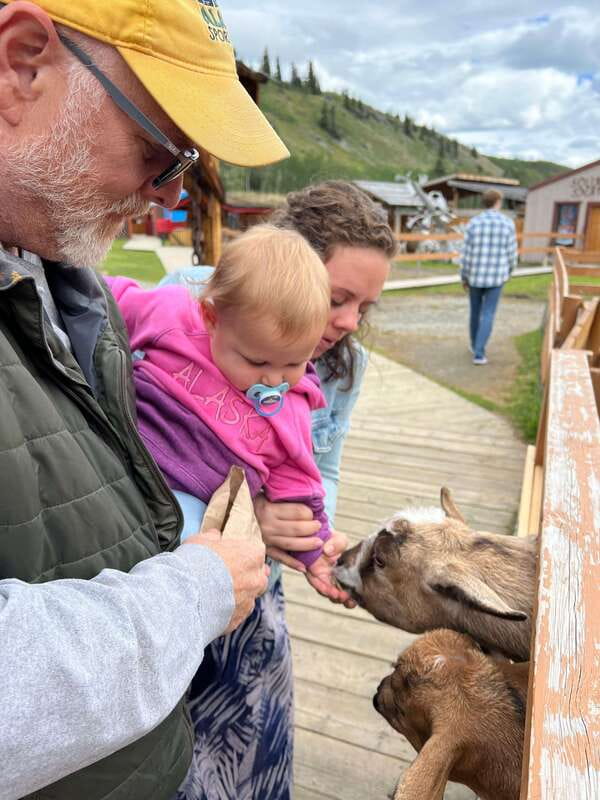 Skagway: Yukon Dog Mushing & Sightseeing Tour - Key points to know before booking