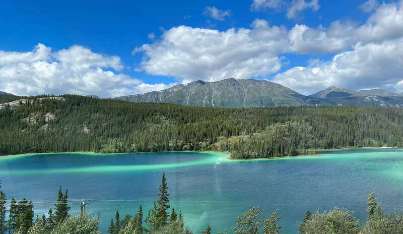 Skagway: Yukon Dog Mushing & Sightseeing Tour - From Skagway to the Yukon border