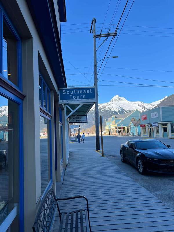 Skagway: Yukon Dog Mushing & Sightseeing Tour - Carcross Desert and Emerald Lake