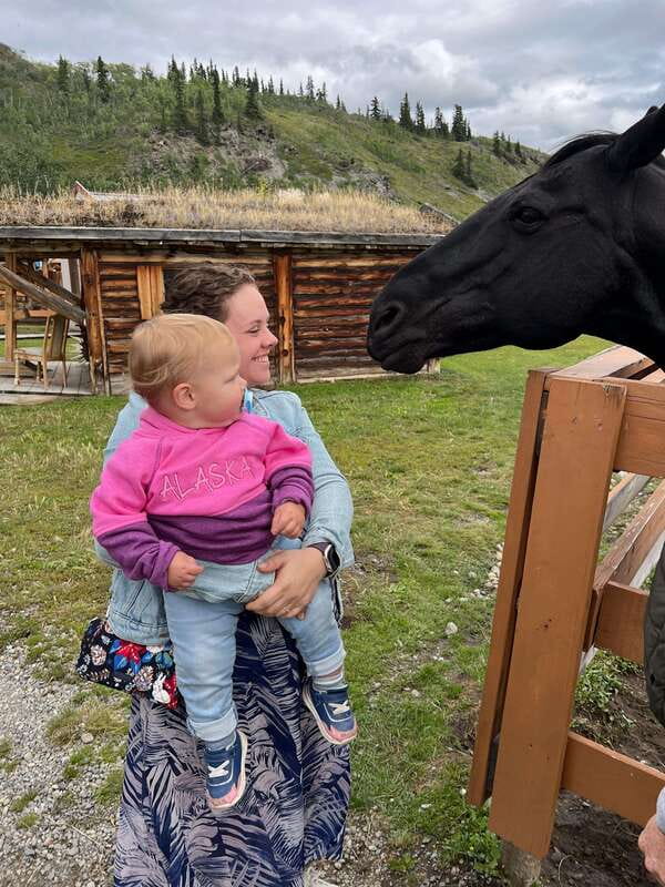 Skagway: Yukon Dog Mushing & Sightseeing Tour - Is the $208 price fair?