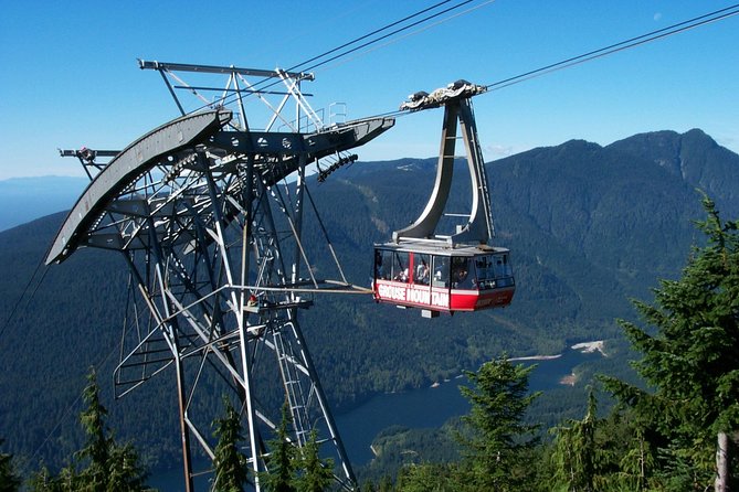 Small Group Tour: Capilano Suspension Bridge and Grouse Mountain from Vancouver - Why this Vancouver half-day tour works