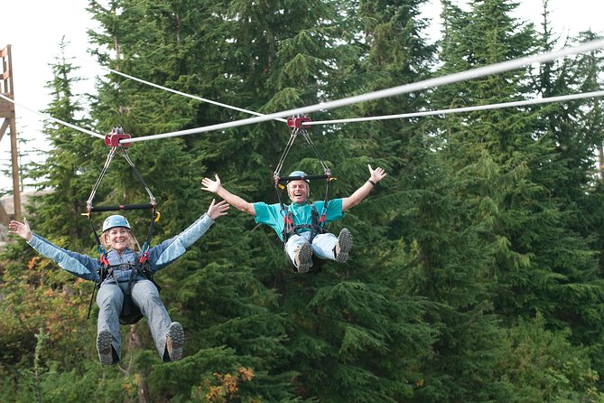 Small Group Tour: Capilano Suspension Bridge and Grouse Mountain from Vancouver - Is $217.78 a fair price?