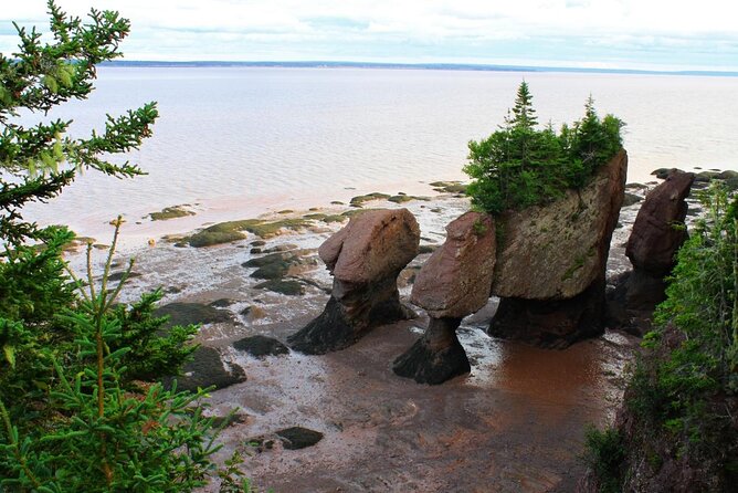 Small Group Tour - Peggy's Cove, Lunenburg, the Annapolis Valley - Peggy’s Cove and the famous lighthouse